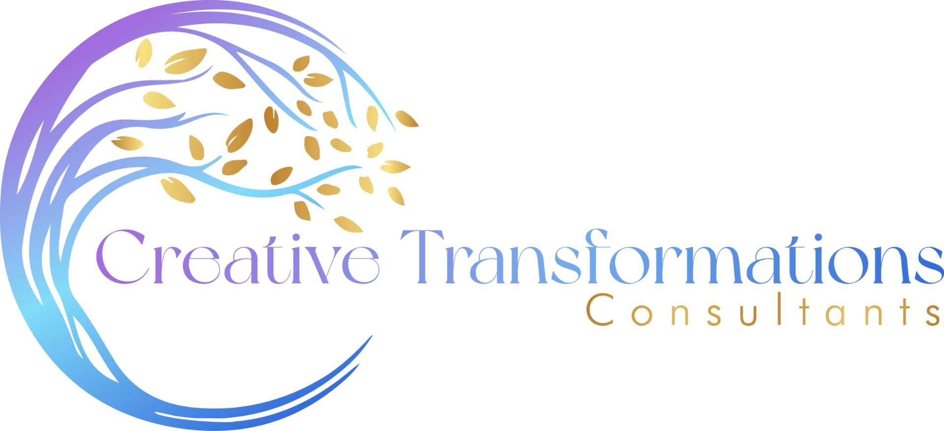 Creative Transformations Consultants